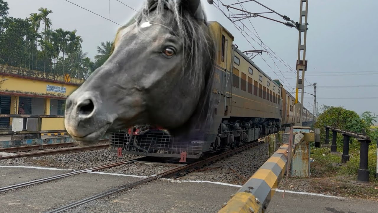 Dangerous Horse Headed Wap4 leads Malda intercity Express Furious Moving Throughout at Railgate 