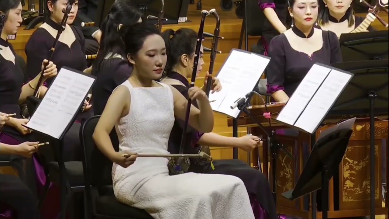 病中吟 — 人生何适（二胡）- 高白 / Despair in Illness (Erhu) - Gao Bai