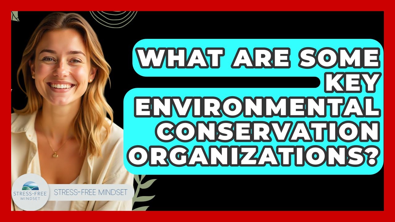 What Are Some Key Environmental Conservation Organizations? - Stress Free Mindset