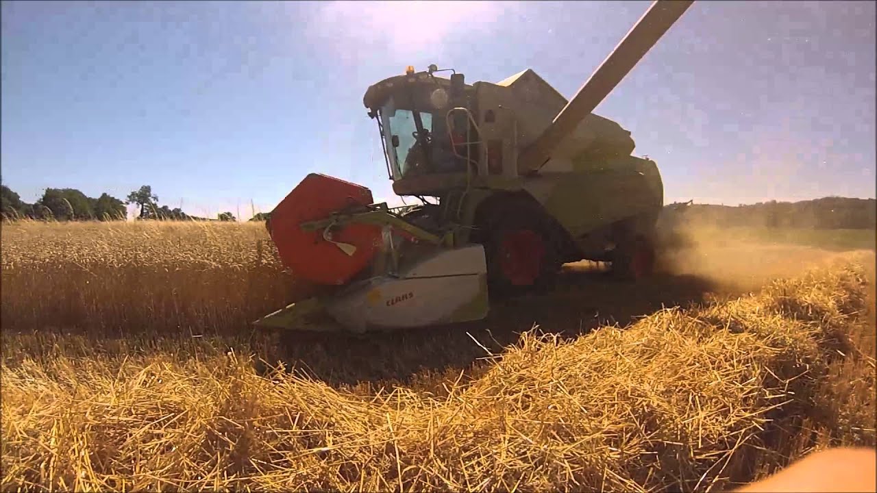 Moisson du blé 2015 avec une claas tucano 340