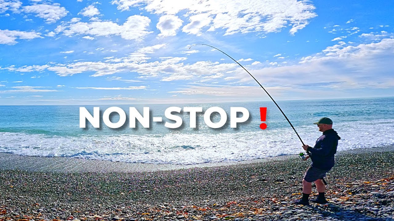 Surfcasting a Remote New Zealand Coastline | Non-Stop Bites in Perfect Conditions
