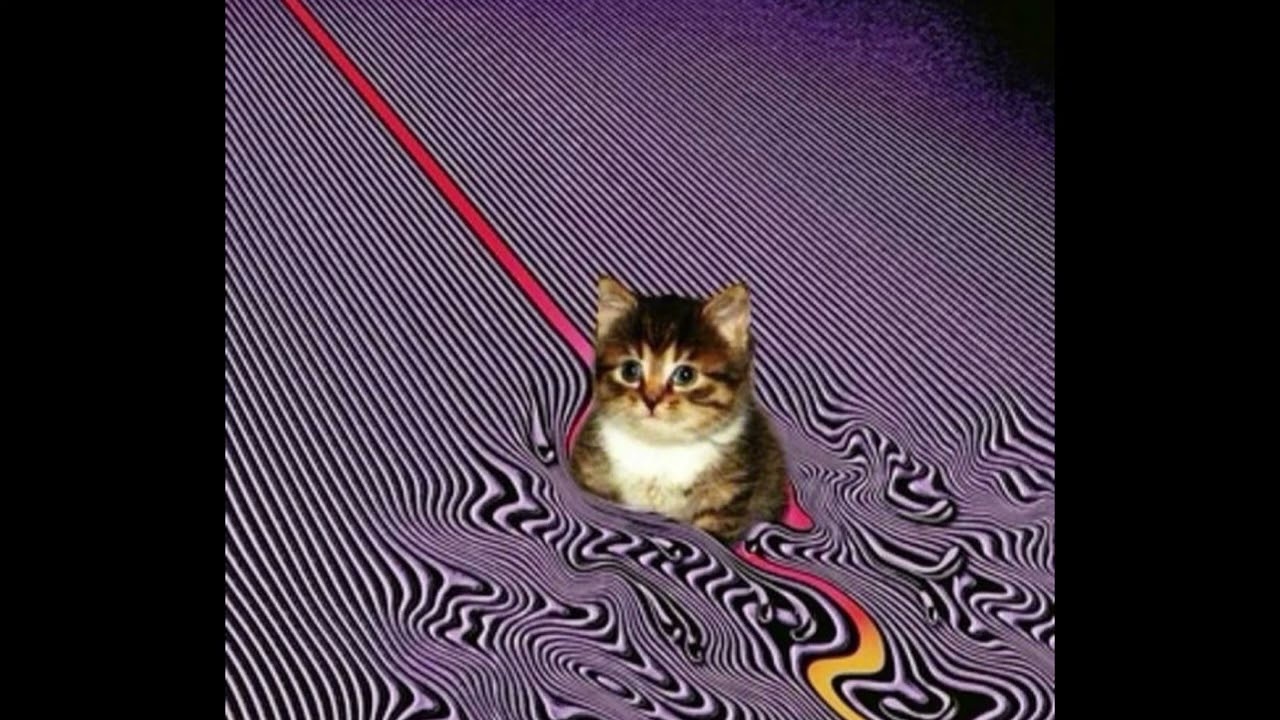 TAME IMPALA SONG BE LIKE .