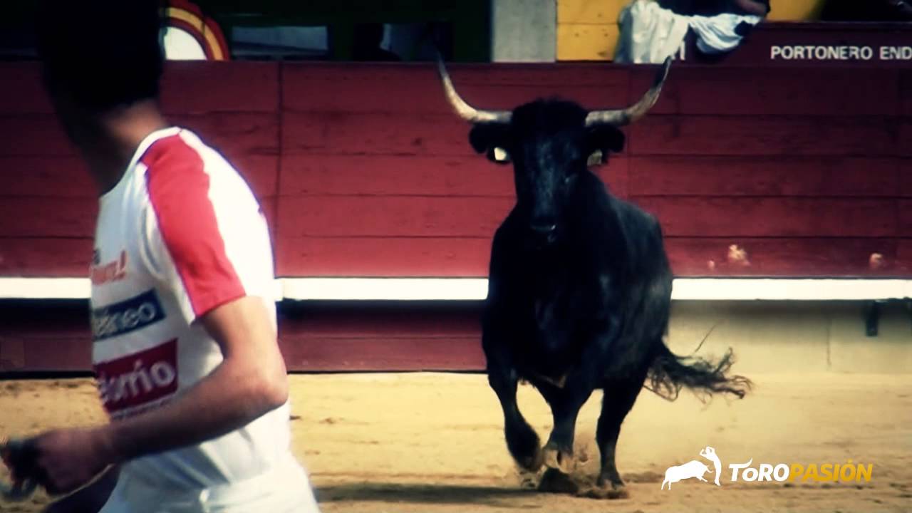 Toropasi&oacute;n - Concurso de recortadores con anillas Castell&oacute;n 2013