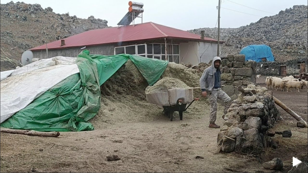 Kısa Film Tadında (Köyde Kış Hazırlığı Başladı.)