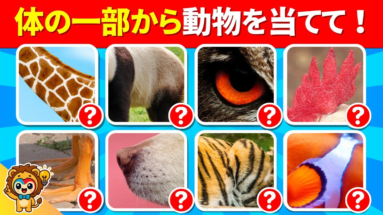 【全15問の動物クイズ】体の一部を見て動物を当てて！｜動物雑学の解説あり｜小学生向けクイズ