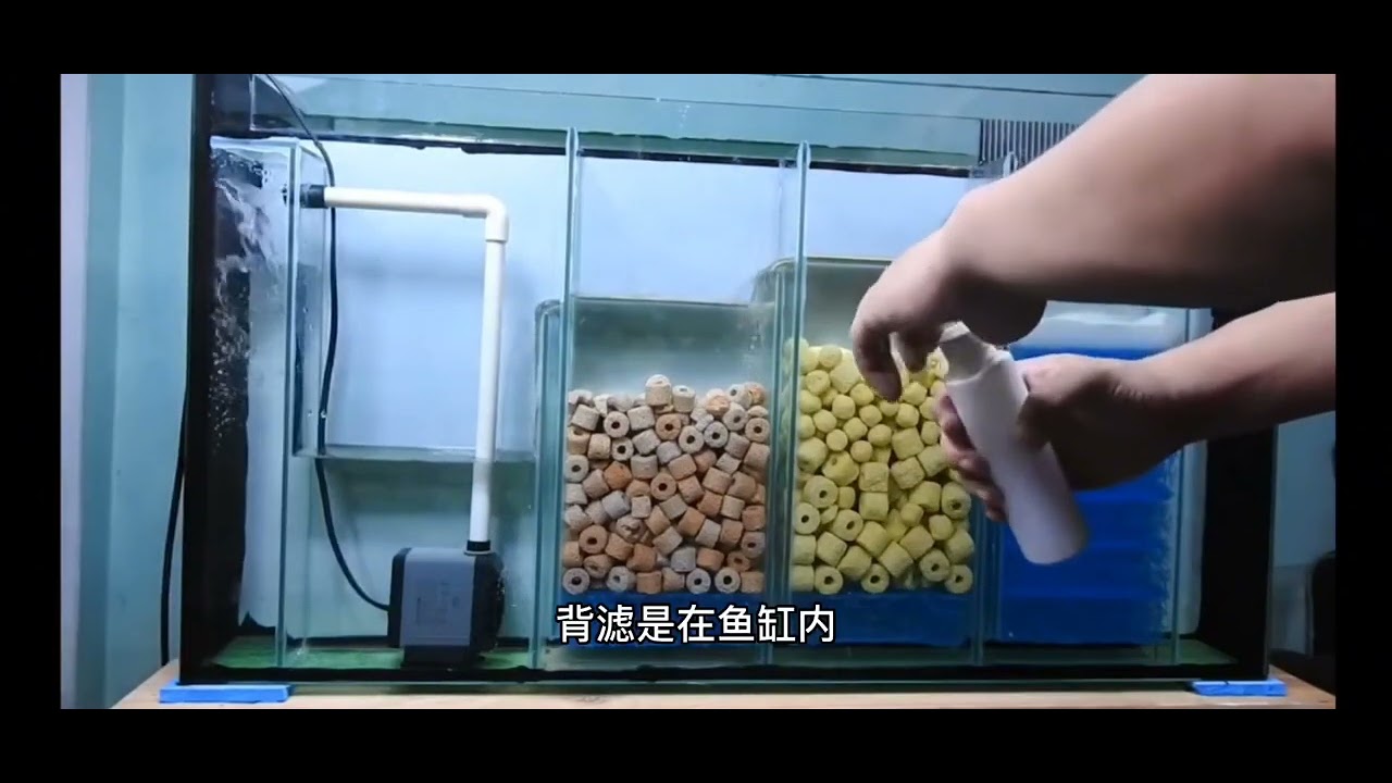 背滤和侧滤鱼缸的运行原理和优缺点，一次搞懂背滤和侧滤