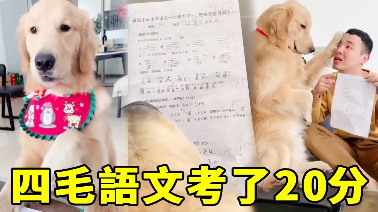 四毛只考 20 分惹毛爸，沒想到考卷題連爸爸都不會！太意外了！【起错名的四毛】