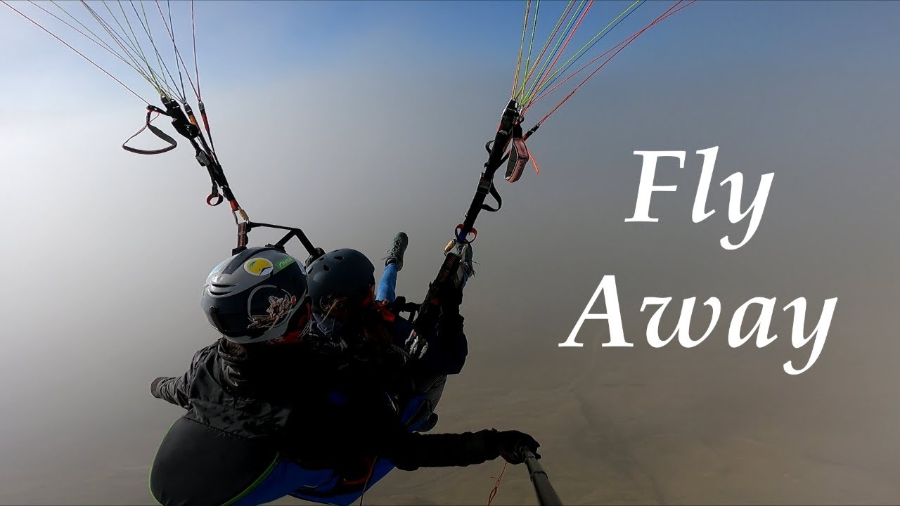 Fly Away - Natalie Mocker