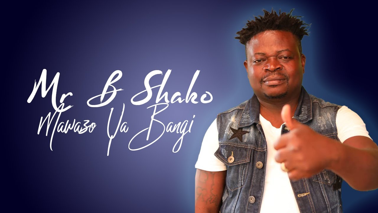 Master B Shako - Mawazo ya bangi