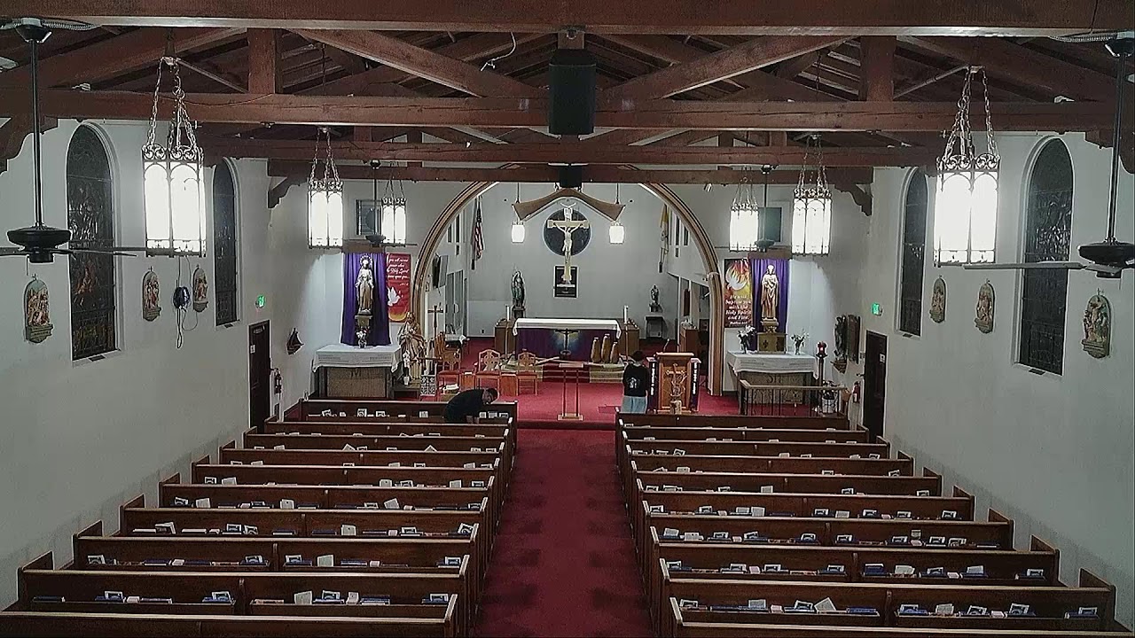 HOLY FACE OF JESUS APOSTOLATE 7:00 PM  03-17-2026
