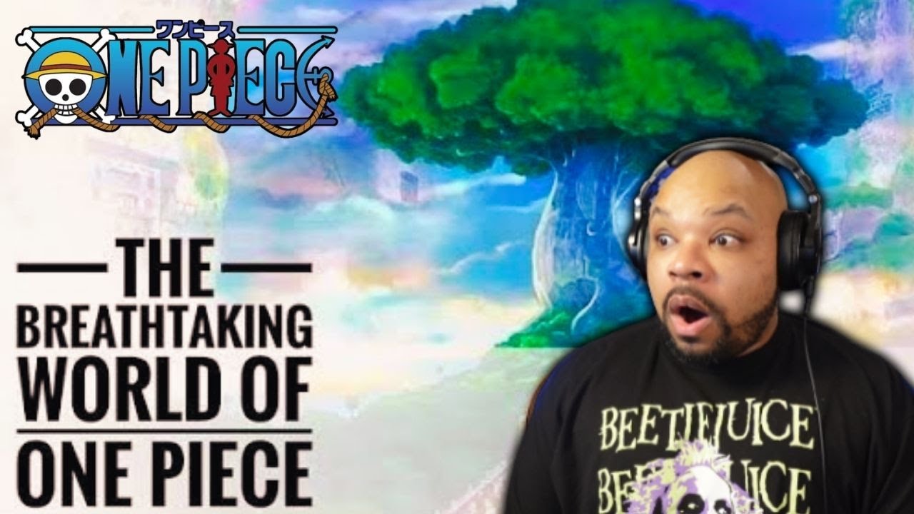 One Piece Newb Reacts to The Breathtaking World of One Piece ! 🔥🔥