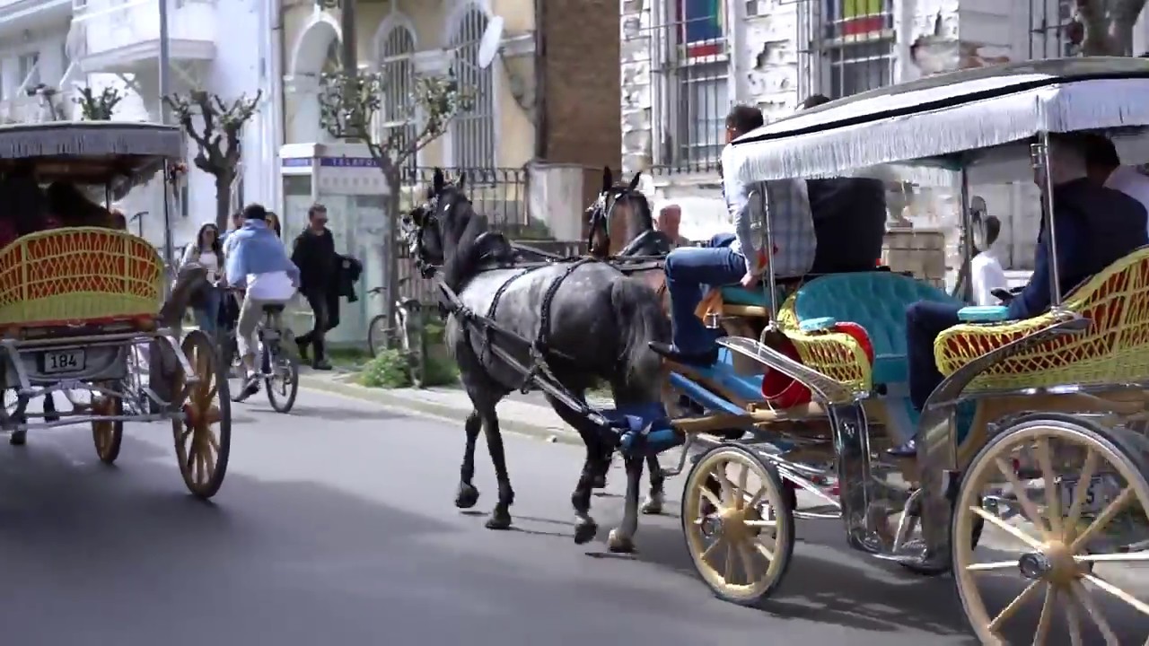 GEZELİM GÖRELİM | BÜYÜKADA