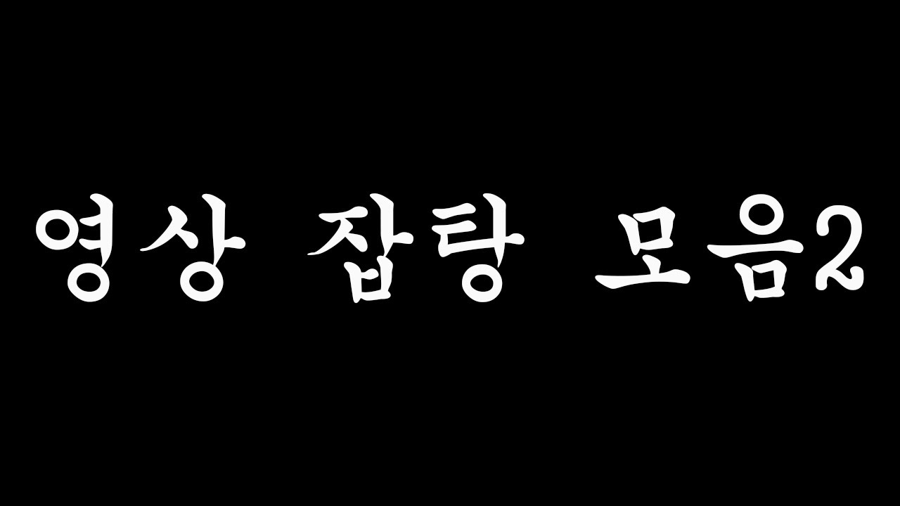 영상 잡탕 모음2