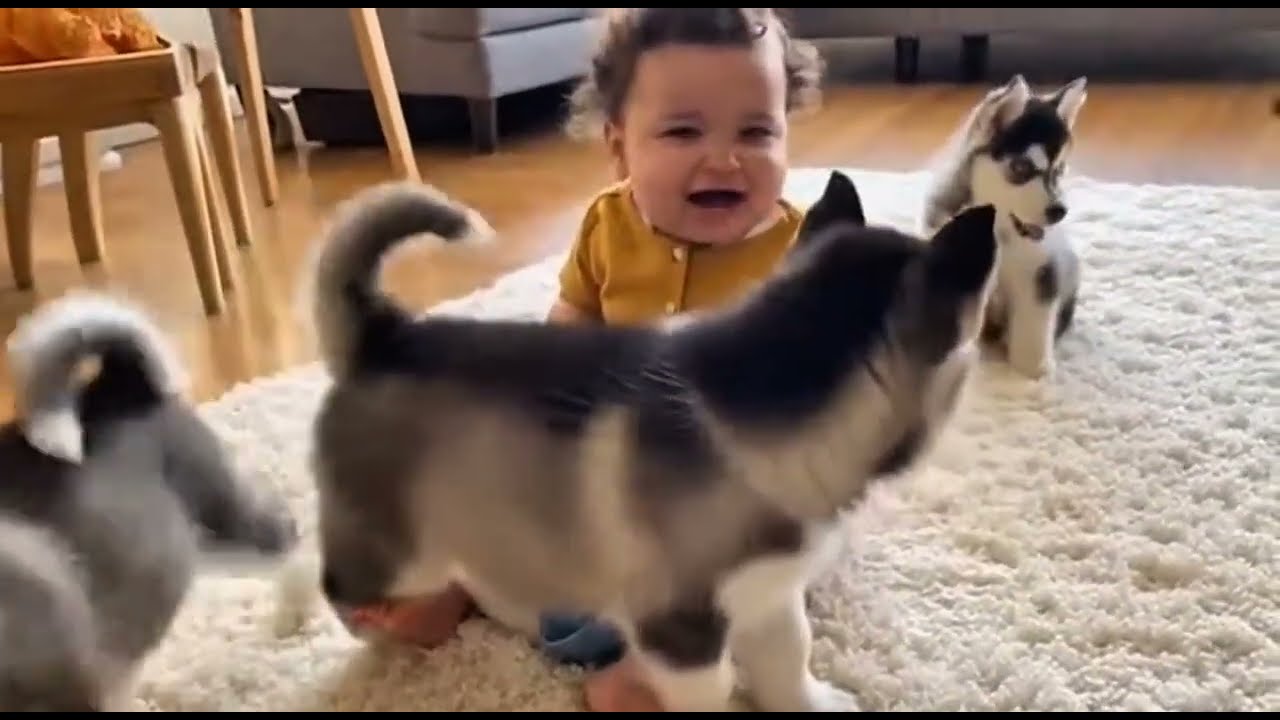 Pure Happiness 😊 Baby and Dogs Compilation | Cutest Puppy Reactions Ever 🥰🐶