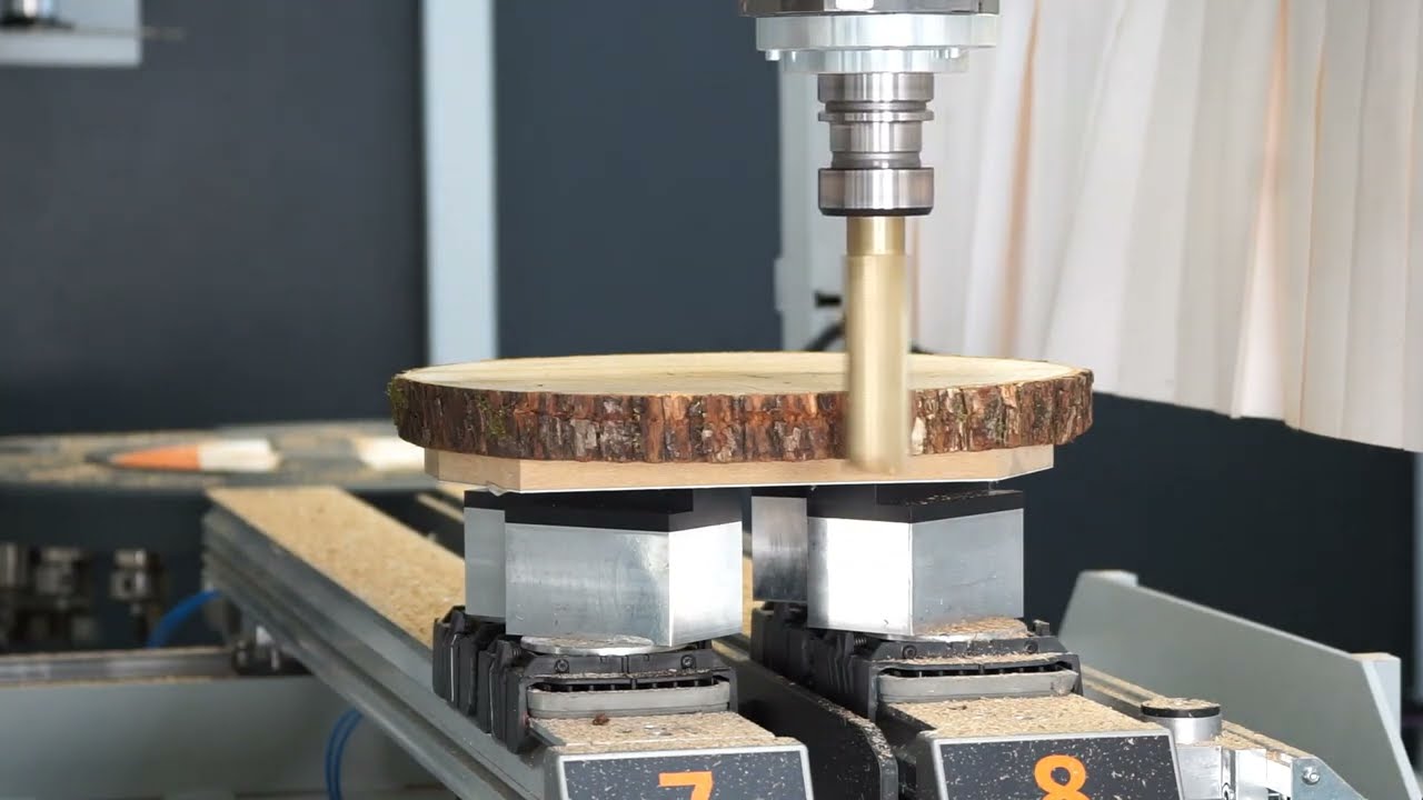 3D Simultanfr&auml;sen einer Baumscheibe