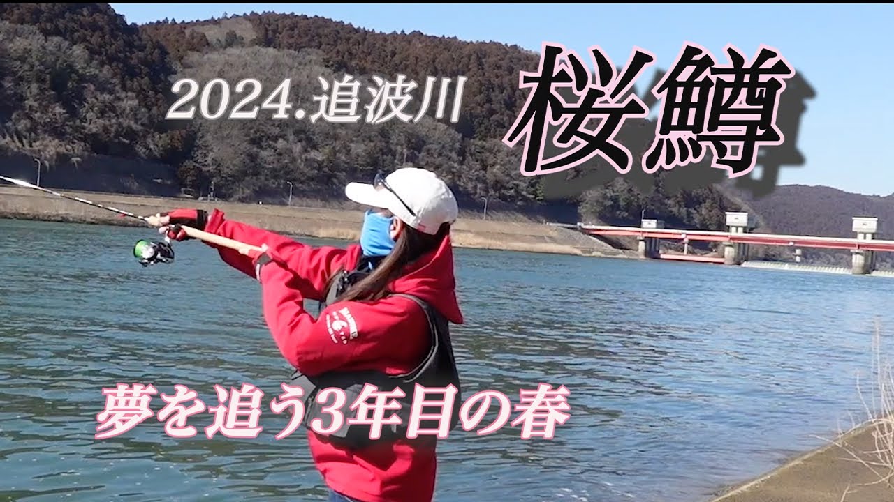 【サクラマス】2024年追波川.胸躍るサクラマスシーズン開花続出！サクラマス釣行記Vol.2