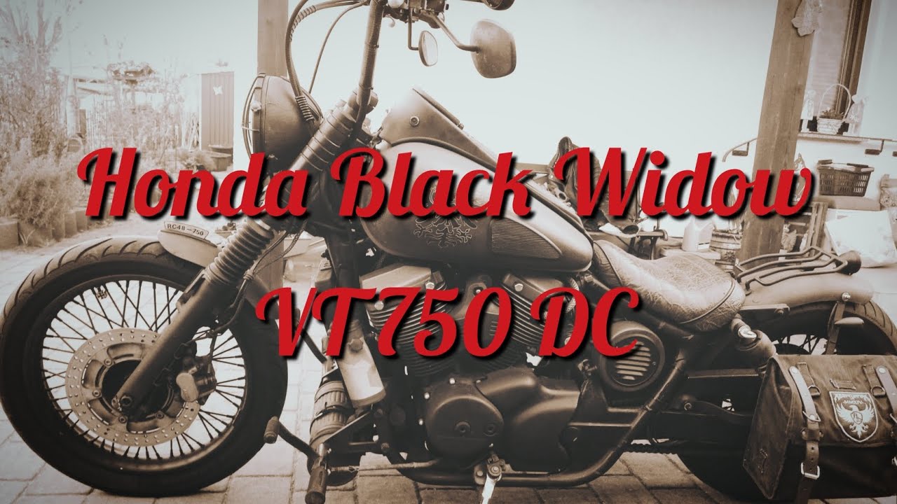 Umbau Honda Black Widow VT 750 DC