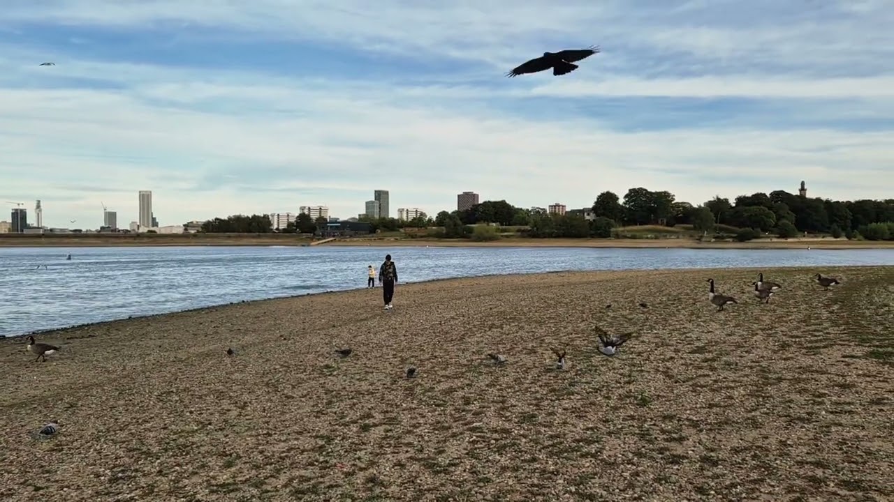 Lowest Level Ever? Edgbaston Reservoir Exposed 🌊 | 90s Video #satisfying #relaxing