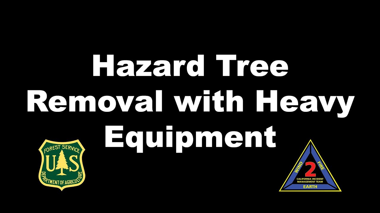 Hazard Tree Removal with Heavy Equipment