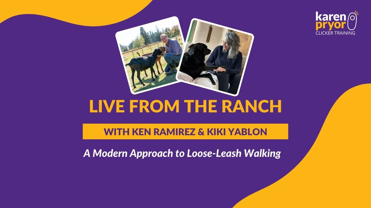 A Modern Approach to Loose-Leash Walking • Kiki Yablon & Ken Ramirez