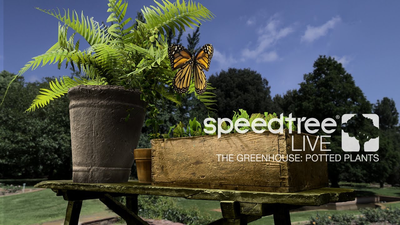 The Greenhouse: Potted Plants