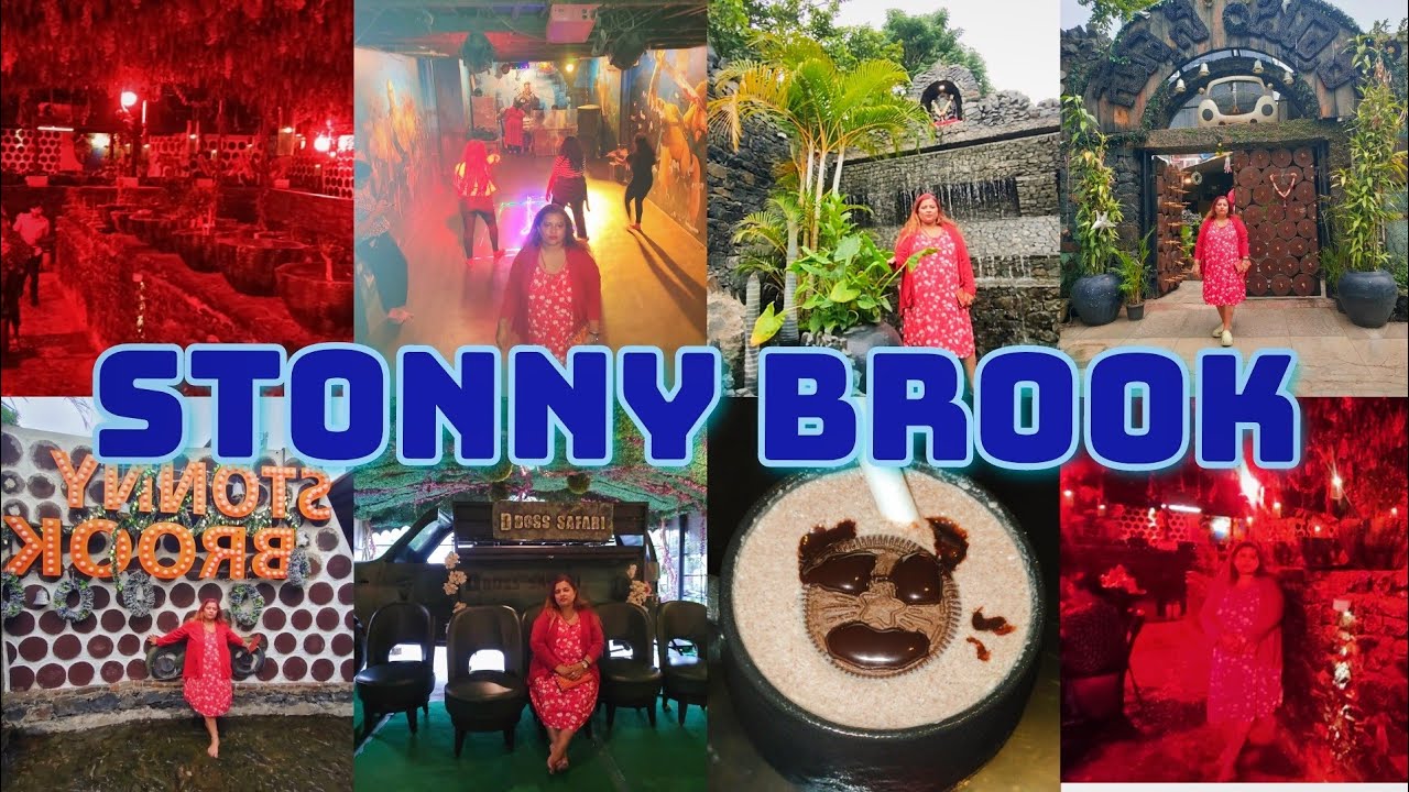 Stonny Brook cafe|Theme Restaurant in Bangalore|Darshan|D boss|Restaurant|swethasvllogs|Hindi vlogs