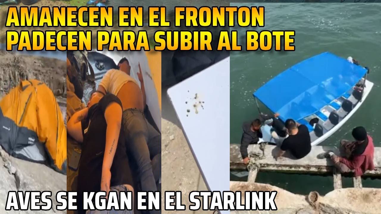 😂AMANECEN EN EL FRONTON PADECEN PARA SUBIR AL BOTE😂😂AVES SE KGAN EN EL STARLINK😂