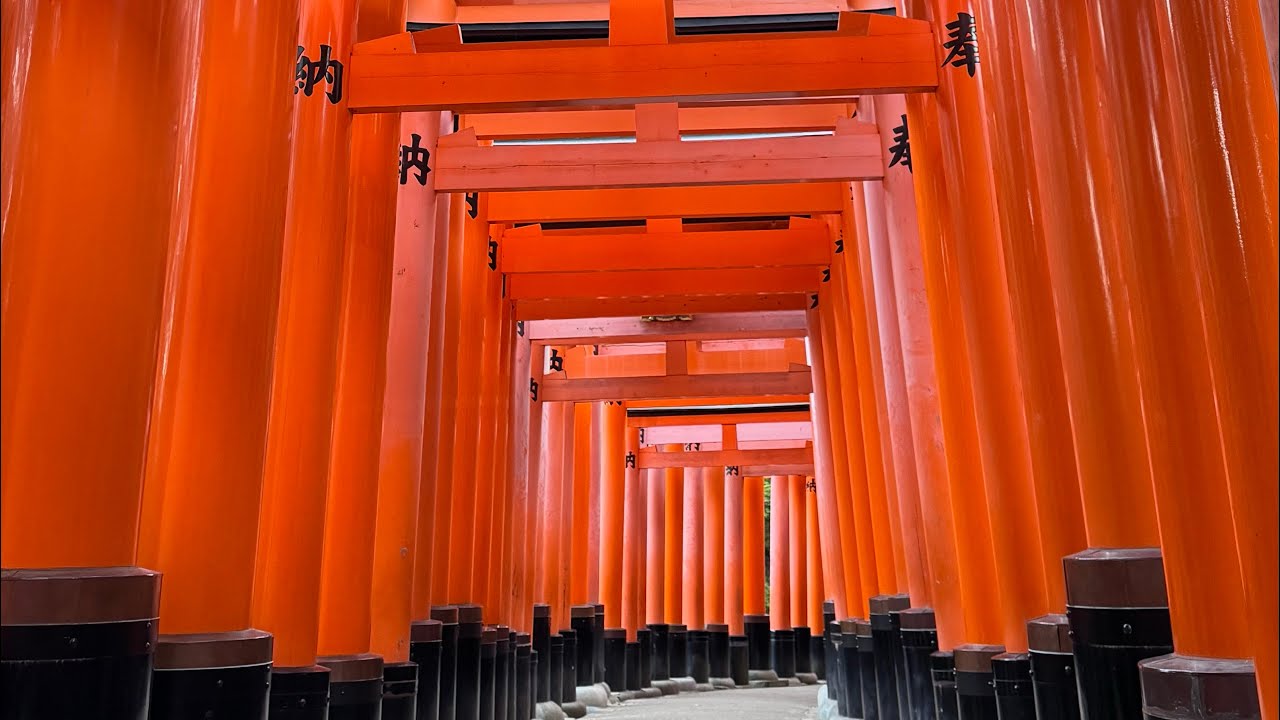 2 Weeks in Japan: Kyoto, Tokyo, Kamakura, Mount Fuji, Shiga Kogen, Osaka