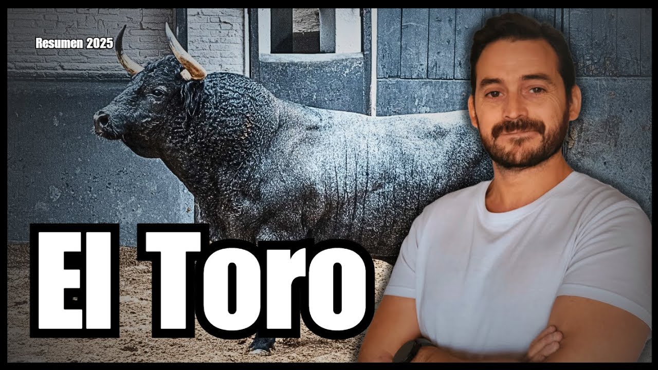 EL TORO | Resumen 2025 (I)