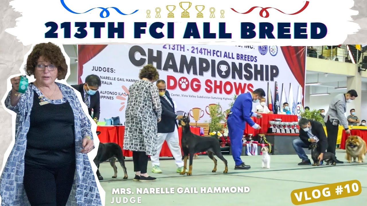 Vlog #10: 213th FCI All Breed Championship Dog Show