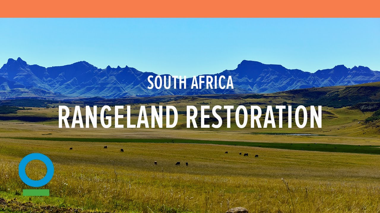Rangeland Restoration in South Africa