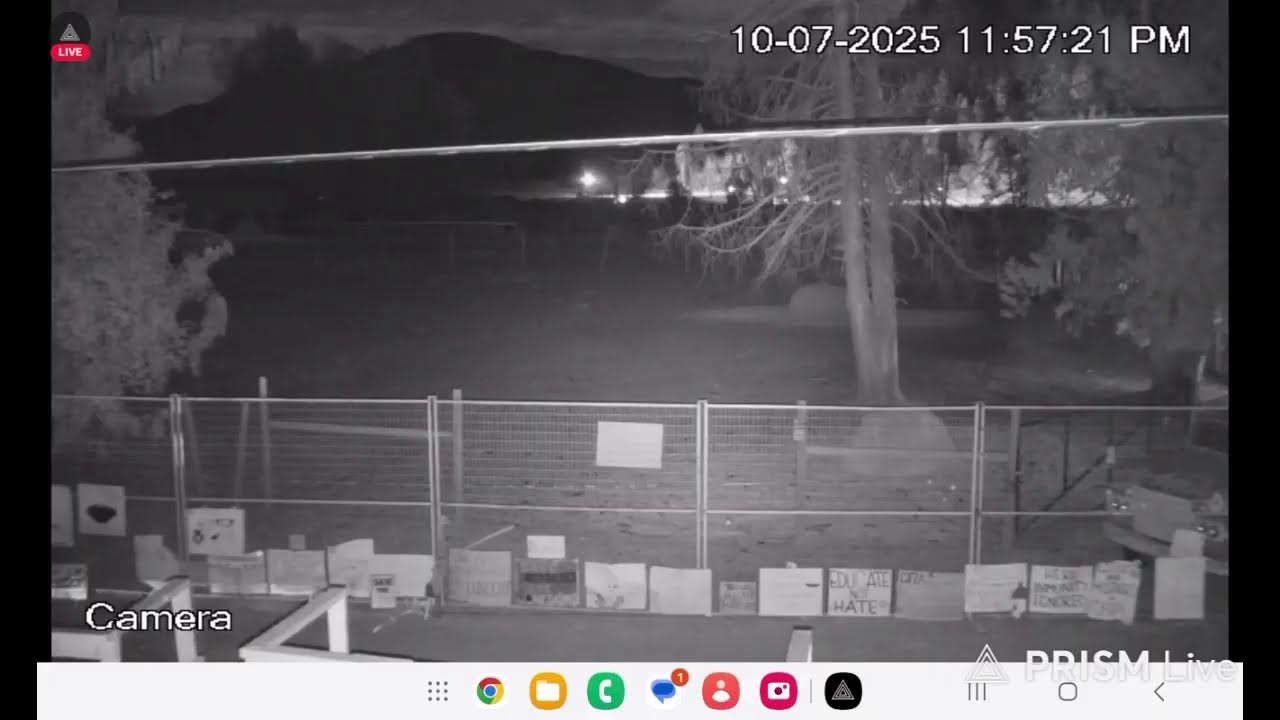 Live streaming of Universal Ostrich Farm