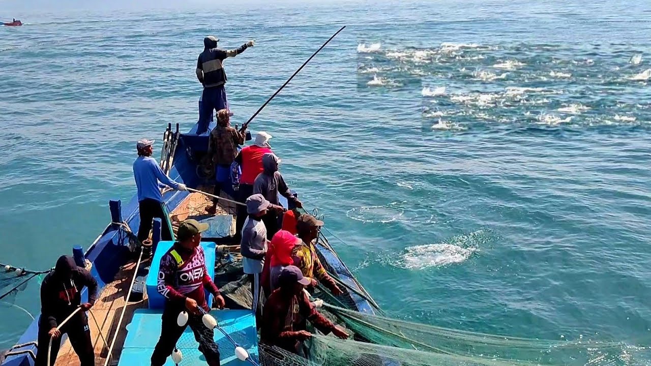 Pukat cincin, Nelayan Indonesia Dapat Banyak Ikan, luar biasa hasil tangkapan nelayan Indonesia