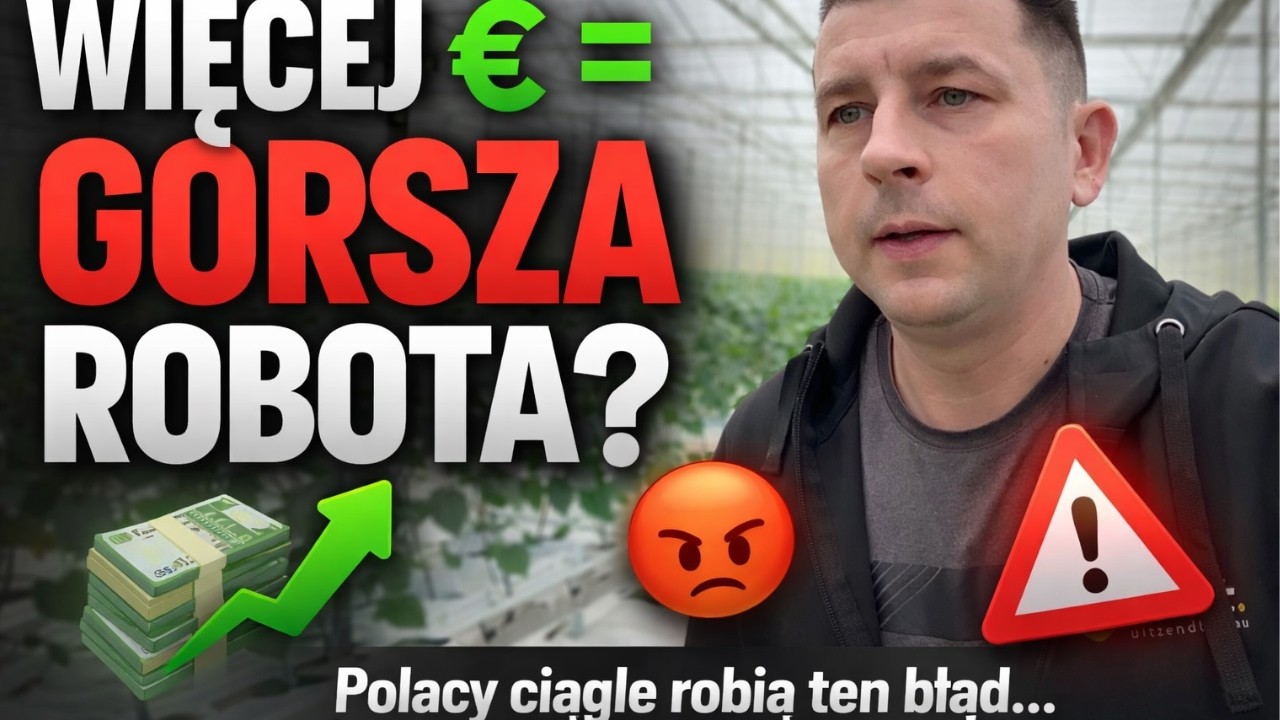 Zmieniłem pracę dla pieniędzy… i wpadłem w toksyczne bagno HOLANDIA
