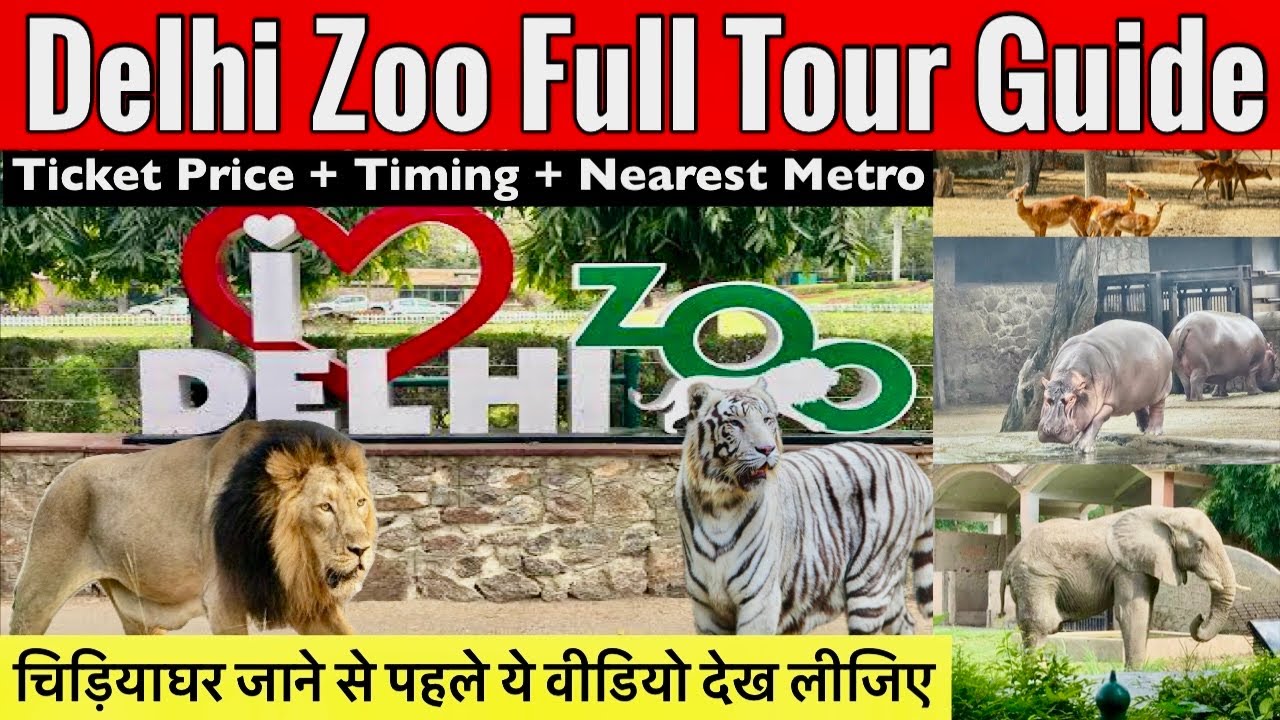 Delhi Zoo Full Tour | Delhi Zoo Ticket Price | Delhi Zoo Vlog | Delhi Zoo All Animals | Zoo Delhi 