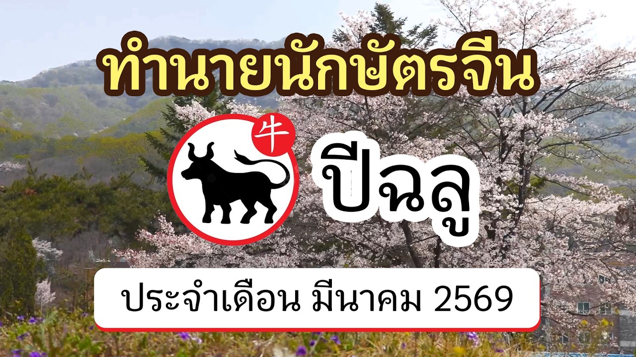 ทำนายดวงนักษัตรจีน ปีฉลู ประจำเดือน มีนาคม 2569 | @ดูดวงจีนโบราณ