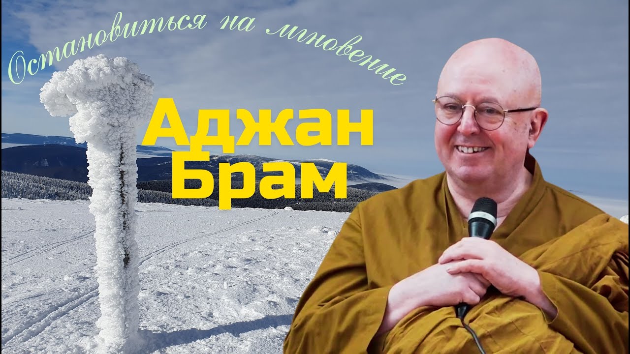 Остановиться на мгновение и оглянуться назад | Аджан Брам | 31 декабря 2021 г.