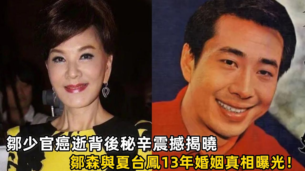 鄒少官癌逝背後秘辛震撼揭曉！鄒森與夏台鳳13年婚姻真相曝光！「超友誼關係」疑雲大起底！#鄒森 #夏台鳳 #婚姻破裂 #超友誼關係 #鄒少官 #癌症離世 #金馬影后 #娛樂圈秘辛 #