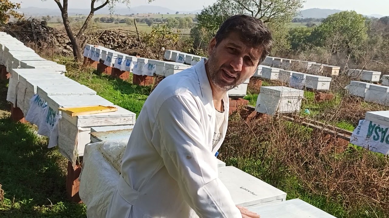 modern Arıcılık:Arımızı kışlatmaya sokarken En önemli faktörleri...