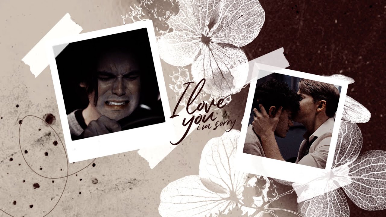 Multicouples || I love you, I'm sorry