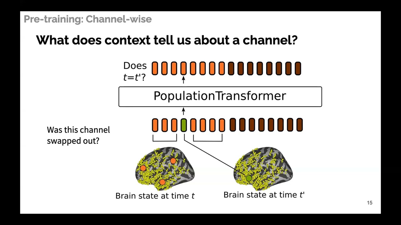 Learning Population-level Representations of Neural Activity | Geeling Chau | NeuroFM Workshop
