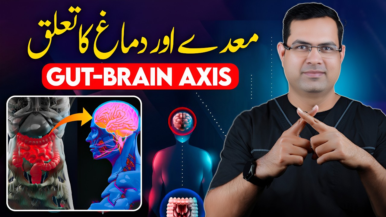 The Hidden Link Between Gut Health and Mental Health (Gut-Brain Axis)