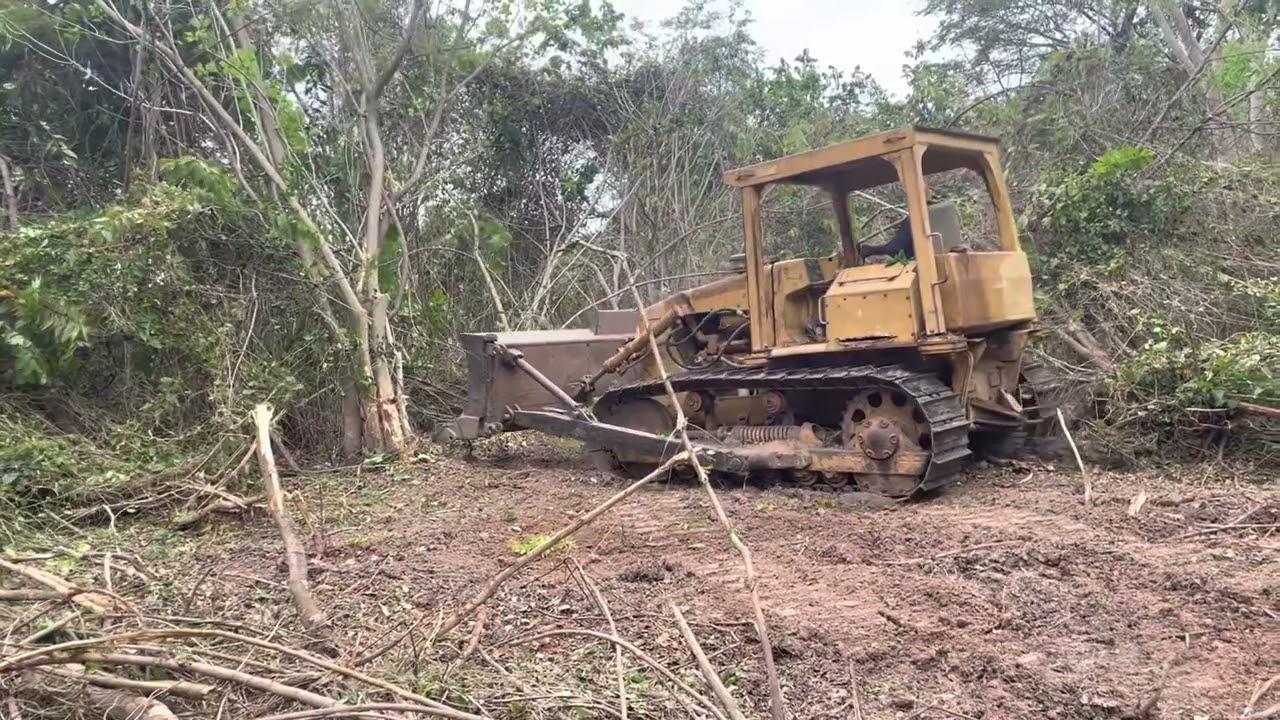 CAT dozer D4E pushing brushes