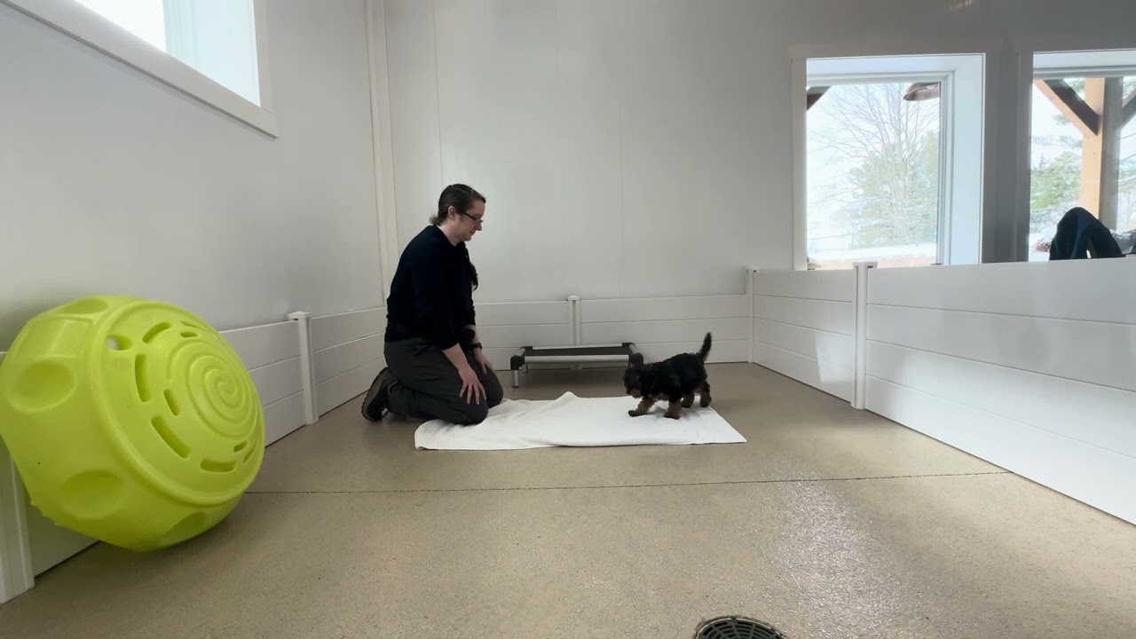 Stack Training Session 01/28