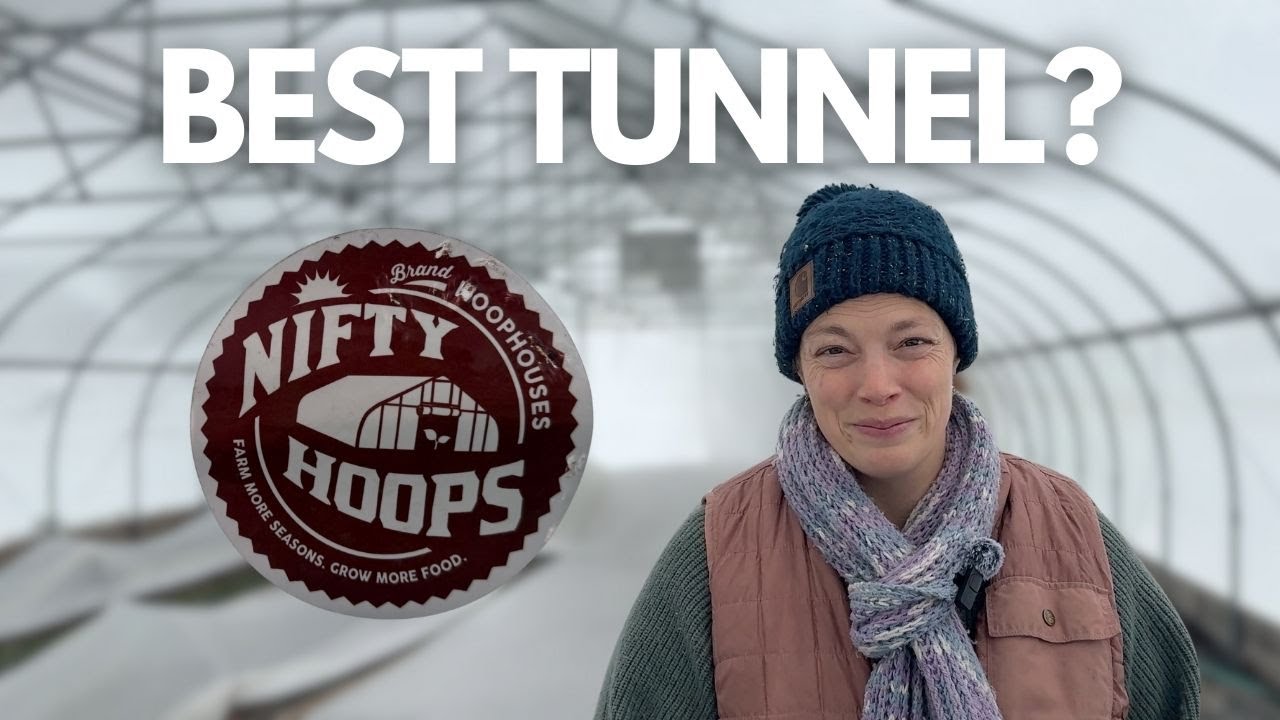 Why I Chose A Nifty Hoops High Tunnel for My Flower Farm