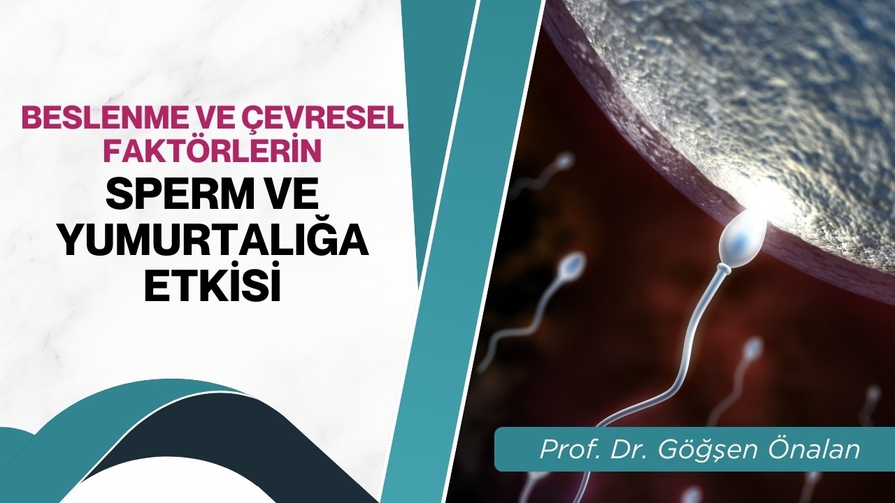 Beslenme ve Çevresel Faktörlerin Sperm ve Yumurtalığa Etkisi /  Prof. Dr. Göğşen Önalan