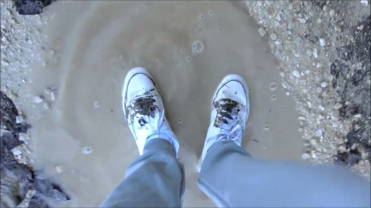 Muddy sneakers #36 - Reebok C85