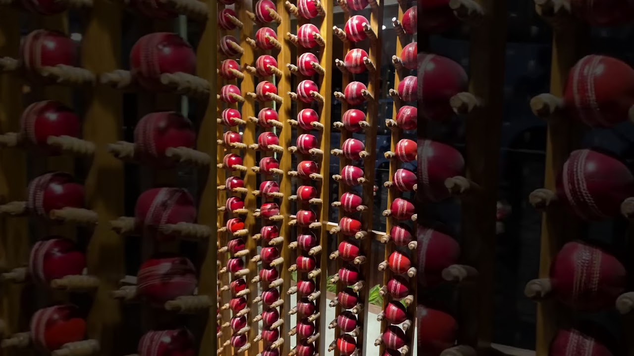 Walk through video of Crown Cricketer