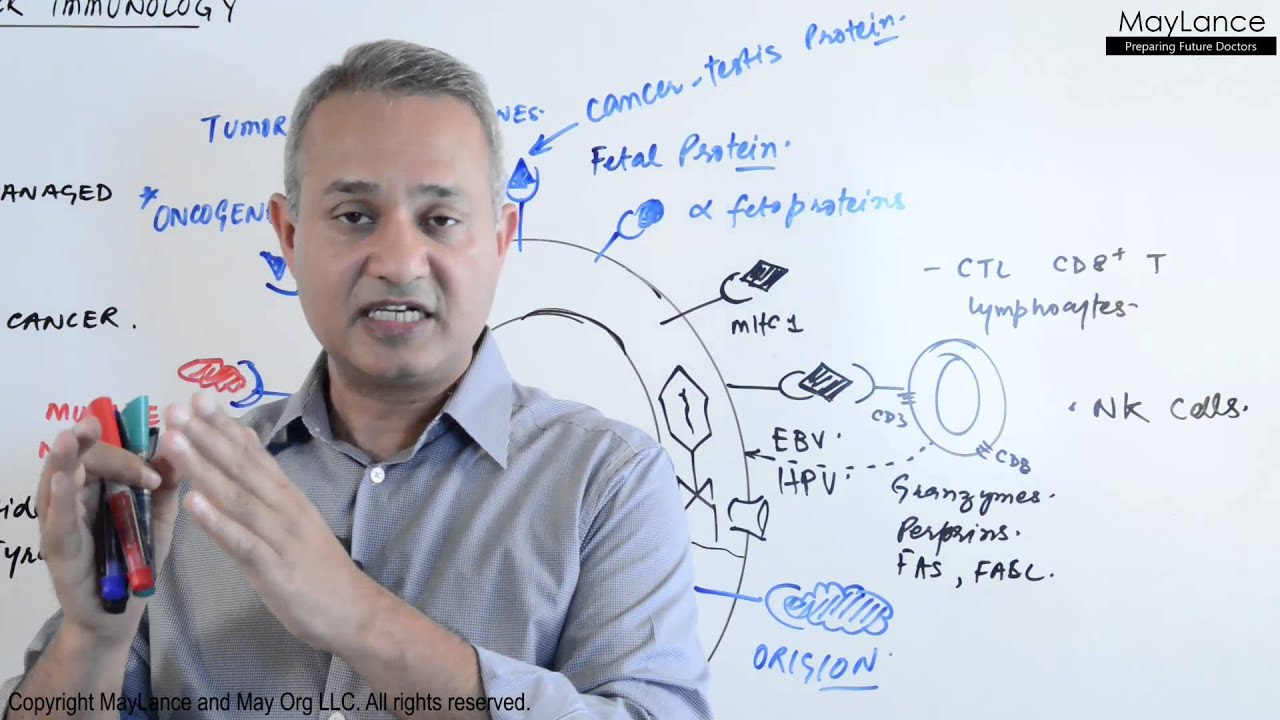 Immunology Lecture 18 Tumor Immunity