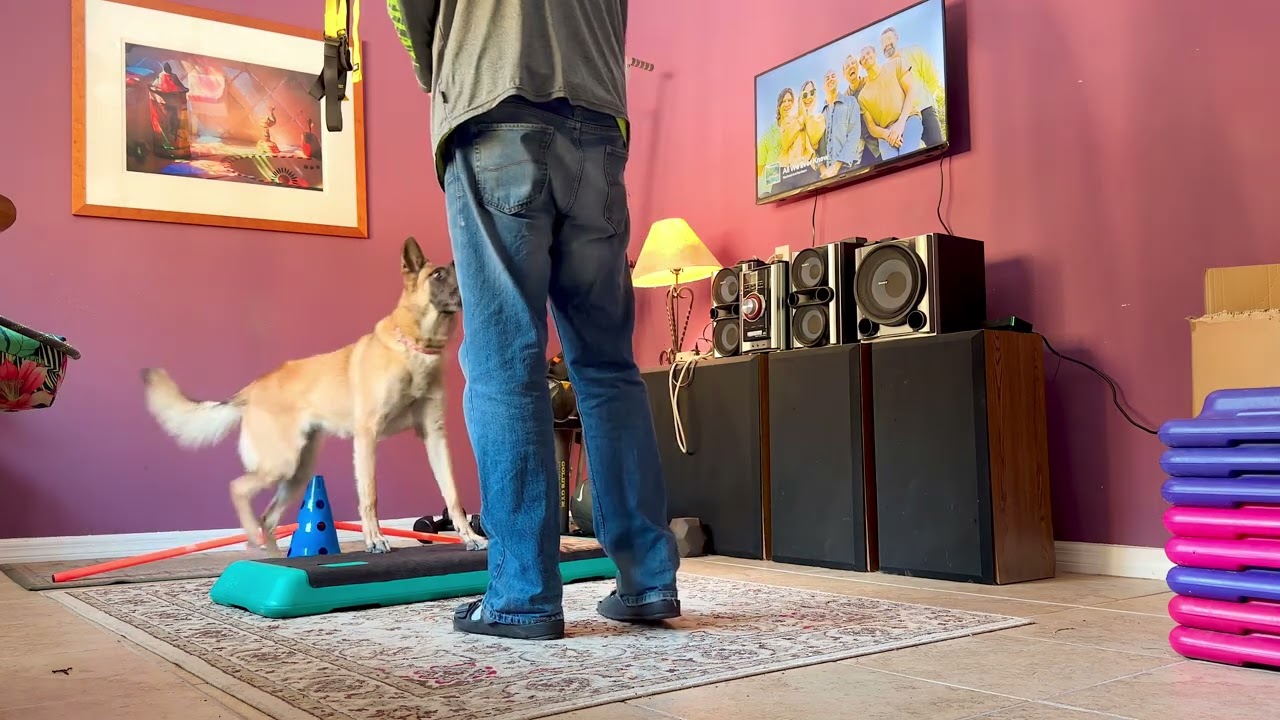 Zara learning rear targeting 